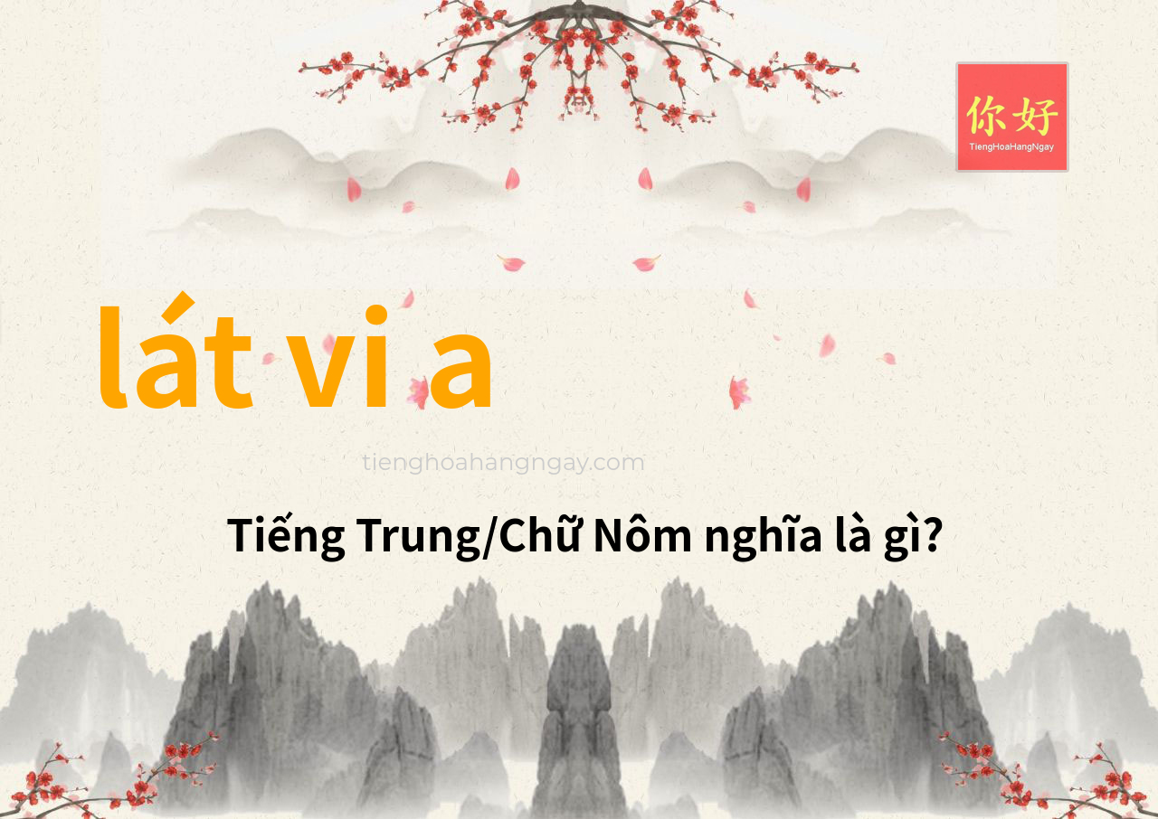 lát vi a tiếng Trung là gì?